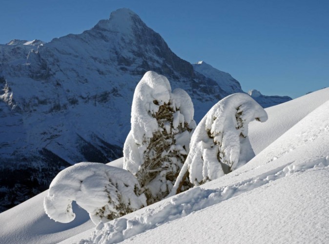 052_Eiger Selfness Grindewald - Schoene Aussichten Touristik -Bergbild Winter